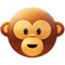 monkey icon