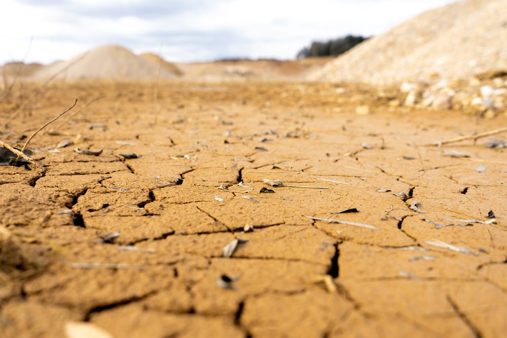 Cracks in the dry land 
