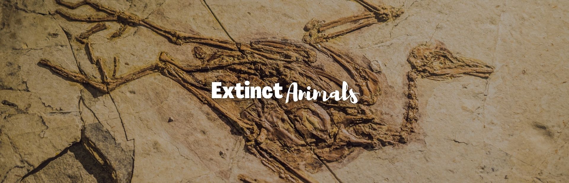 Extinct animals featured image