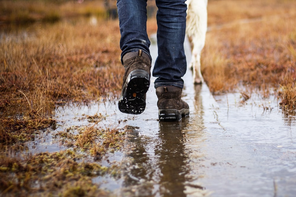 A man in jeans and hiking shoes walking walking with dog in a rainy day swamp
