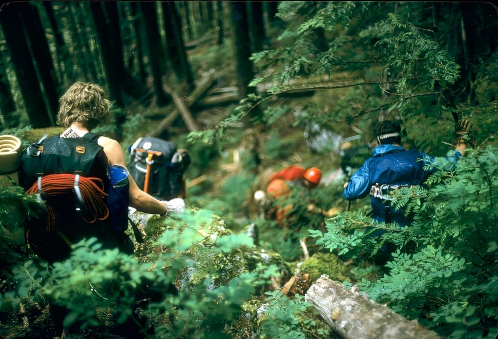 hikers hiking deep int he forest