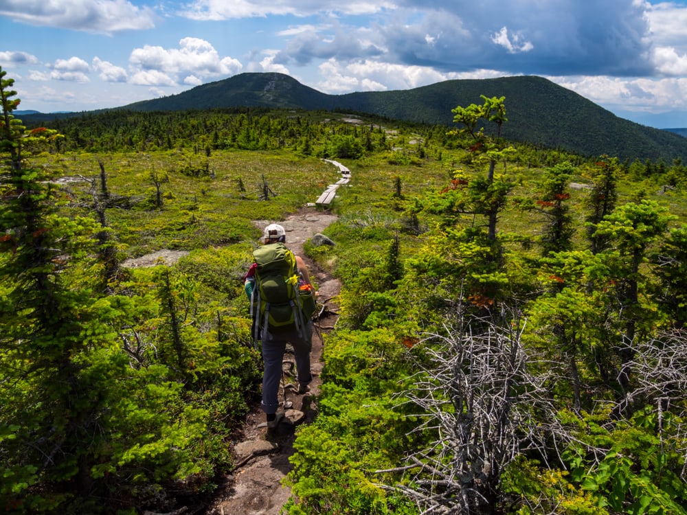Hiker on Appalachian Trail in Maine, Lush Mountain Vista