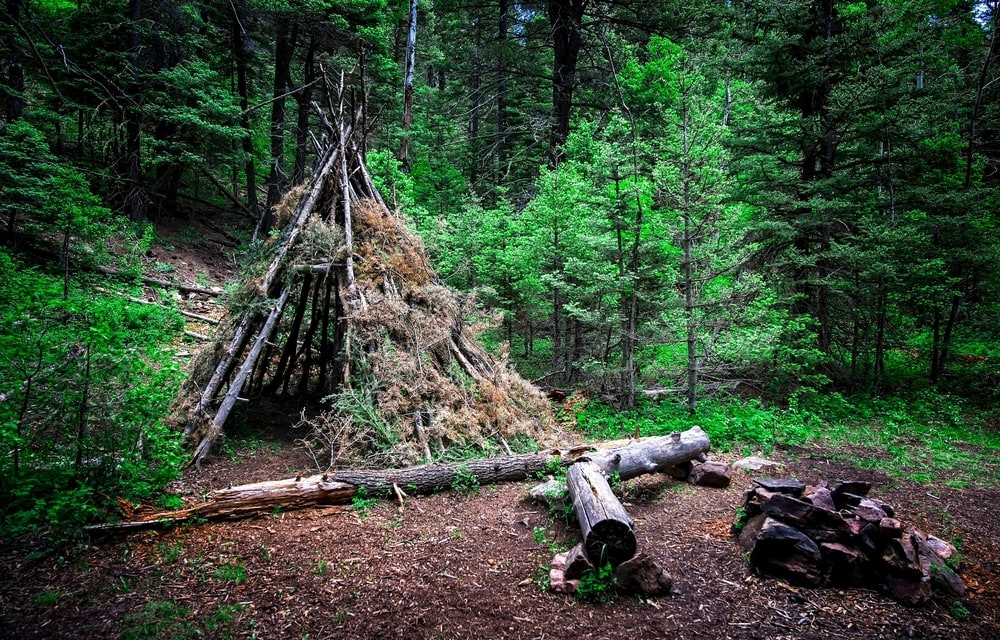 A  hut made of branches and leaves in a forest