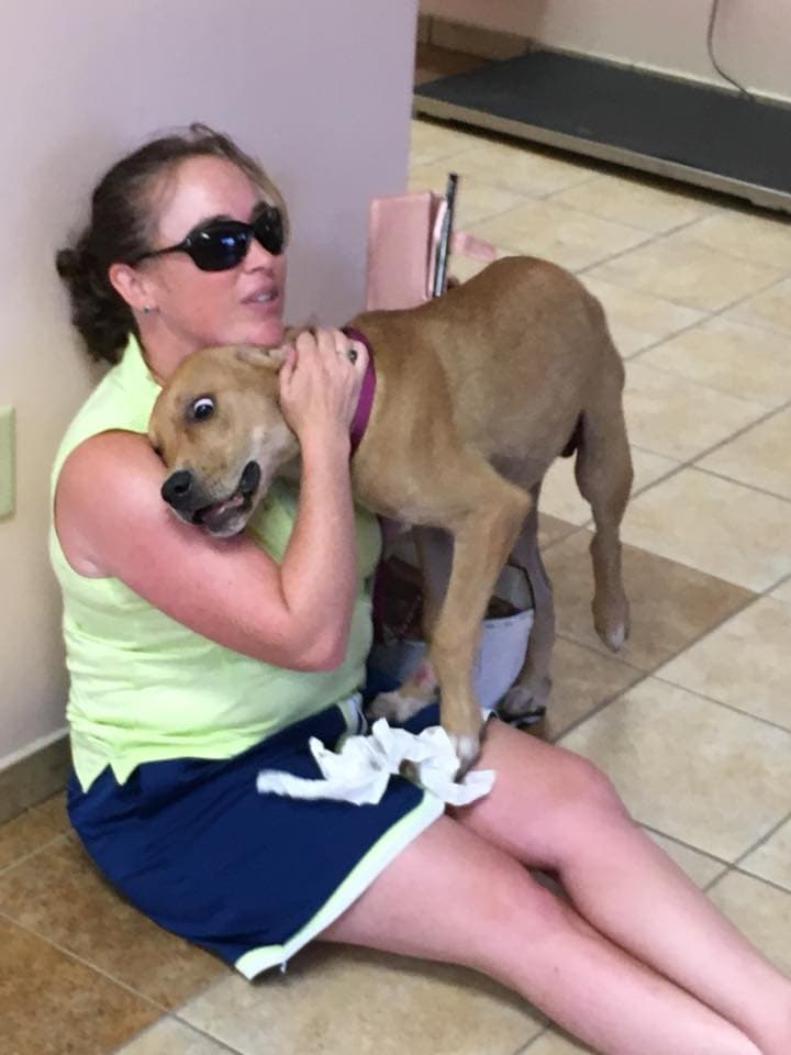 Columbo receiving love from Andrea Shaw