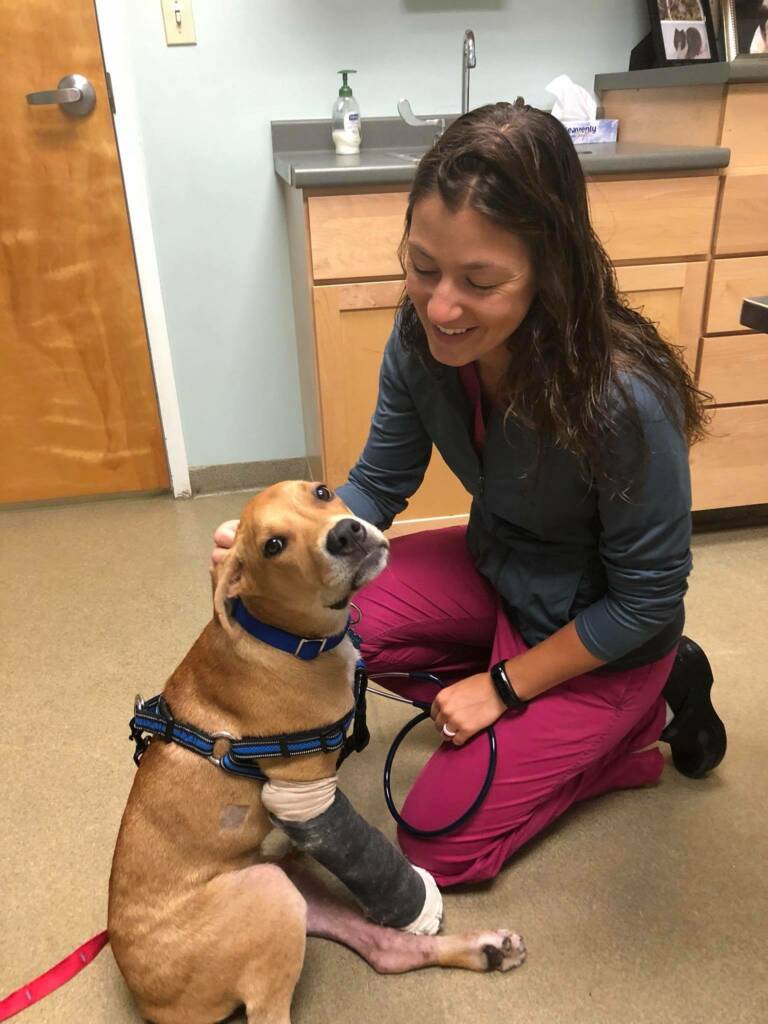 Columbo with a doctor 