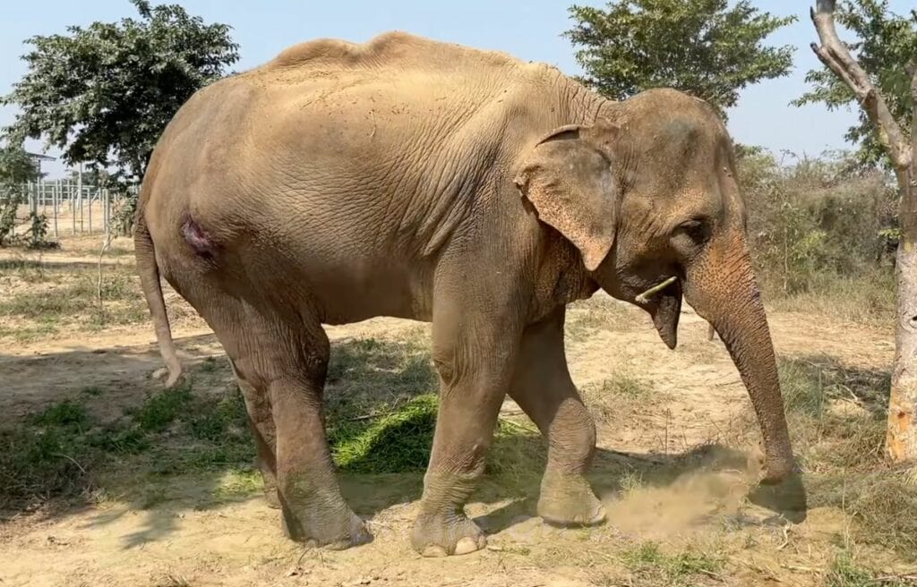 Lakshmi playing with sand