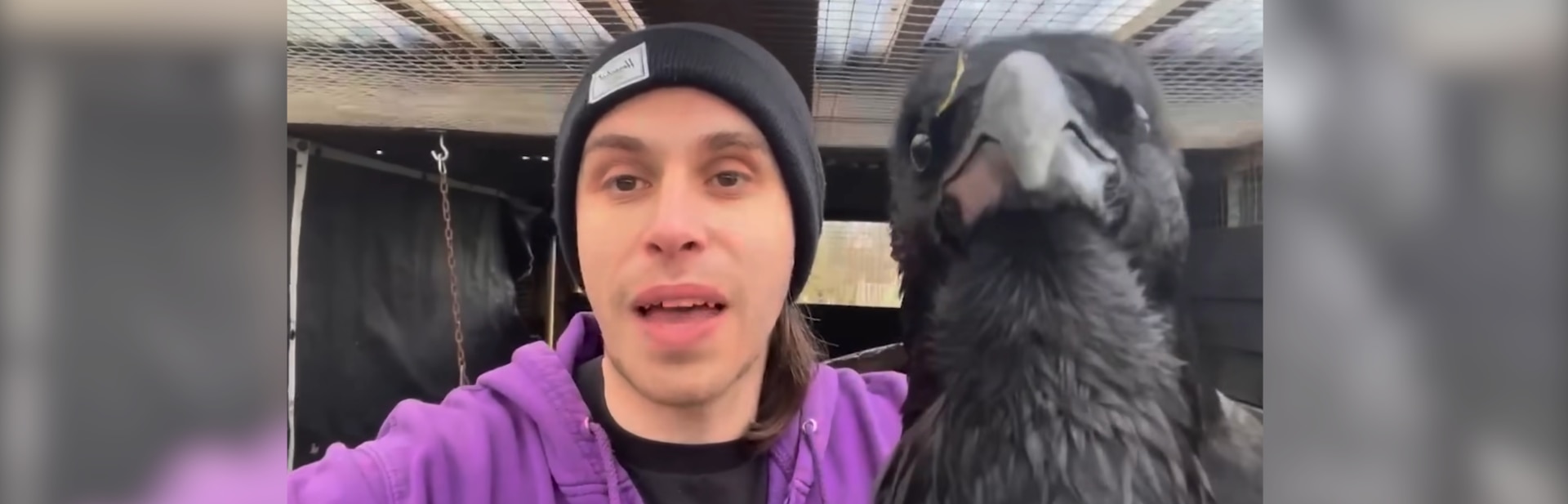 Lonely Crow Transforms into a Delightful Trickster in Unusual Friendship featured image