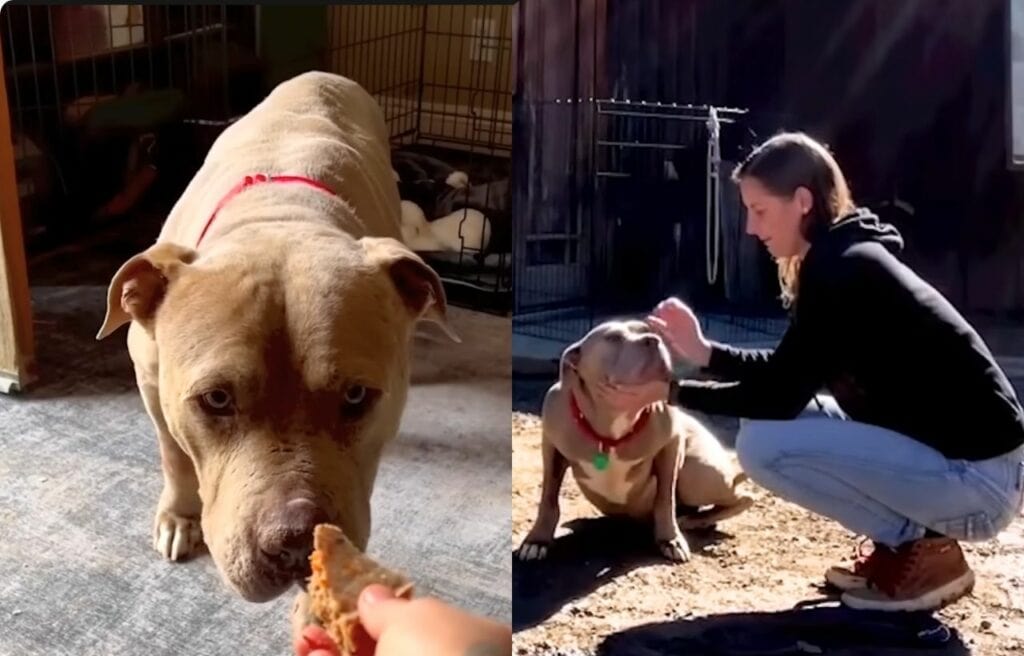 Moment of Bruno with Angela