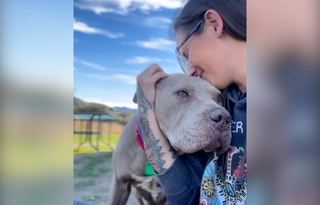 Angela hugging bruno