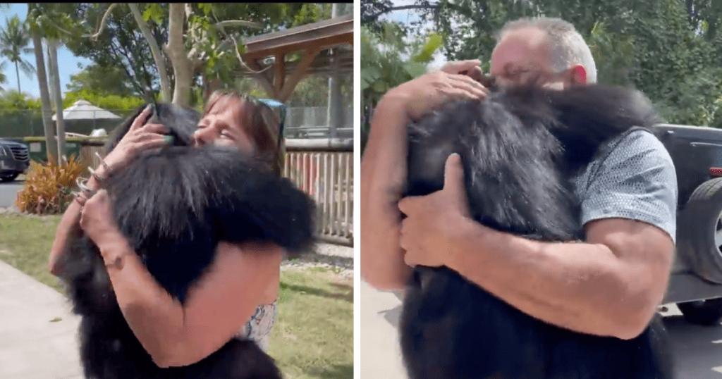 Tania and George hugging Limbani