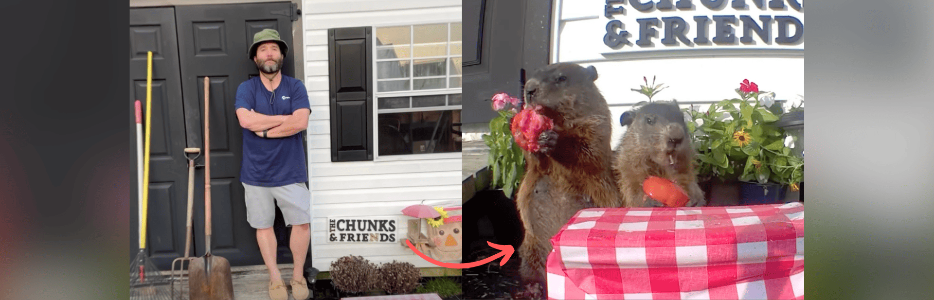 The Man Who Gave Groundhogs Their Own Garden featured image