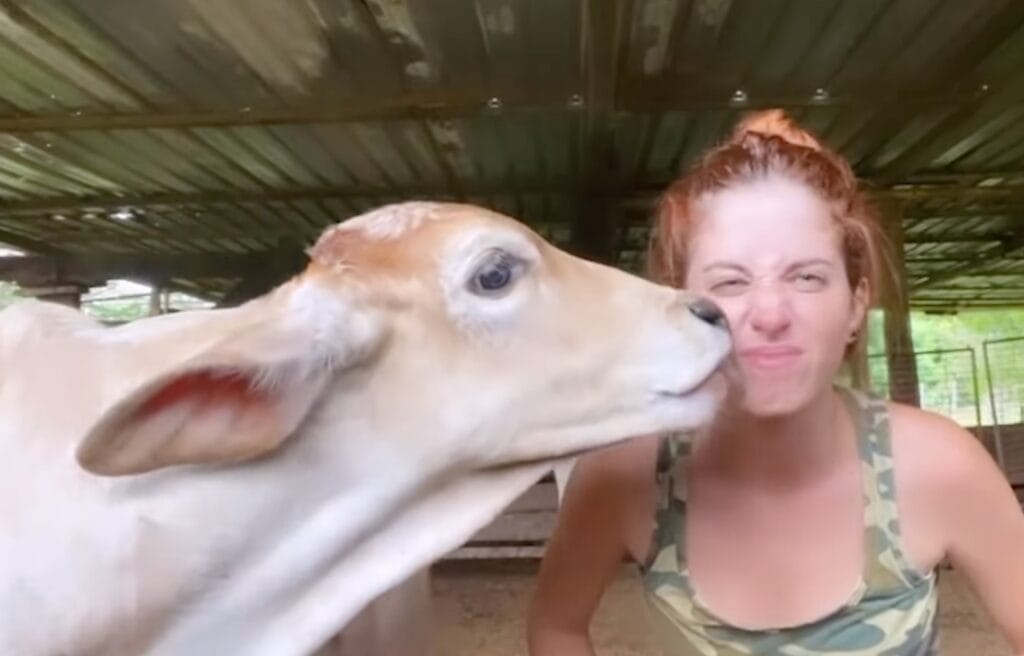 Bia with one of her cows