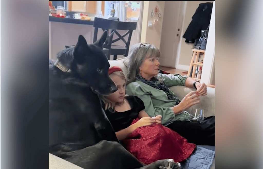 Bosco watching with his family