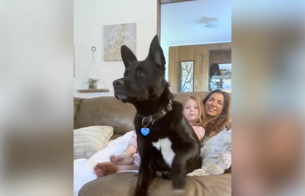 Bosco watching with his family