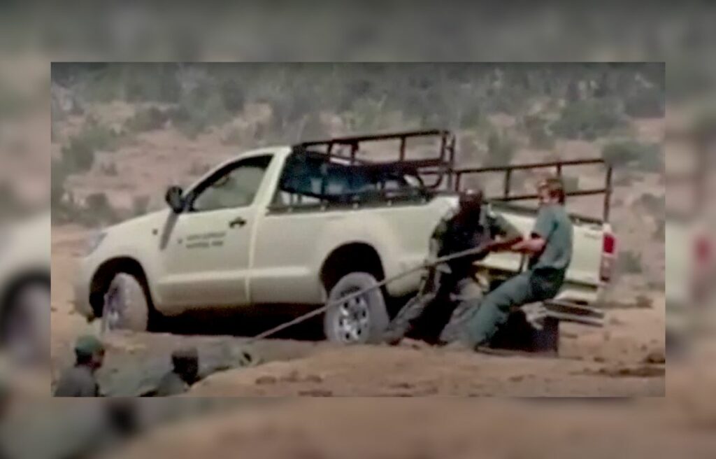 Baby elephant pulling elephant using the rope
