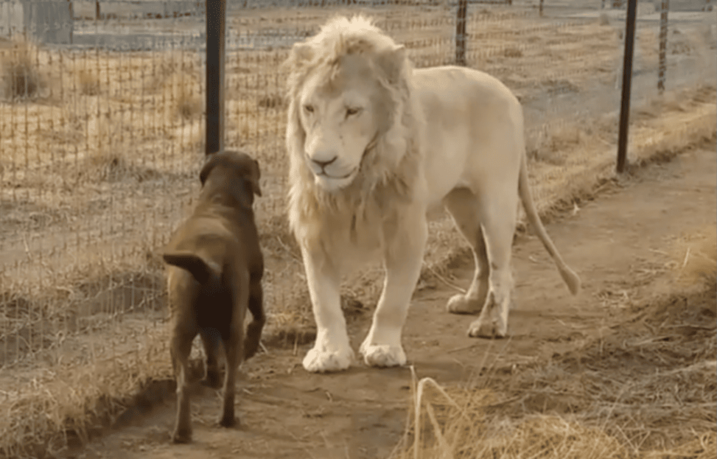 Miki and Camila looking at each other