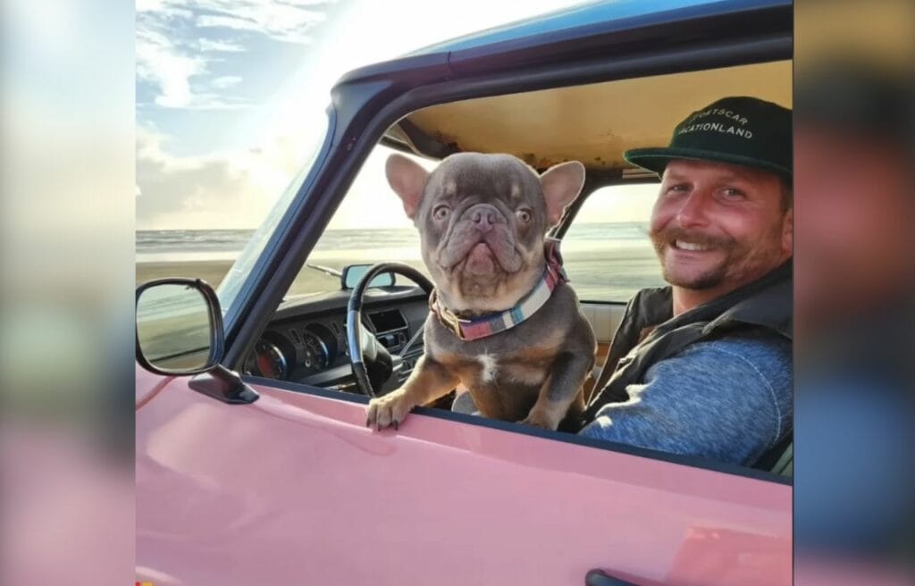 Mr. Muggles with Blake in a car