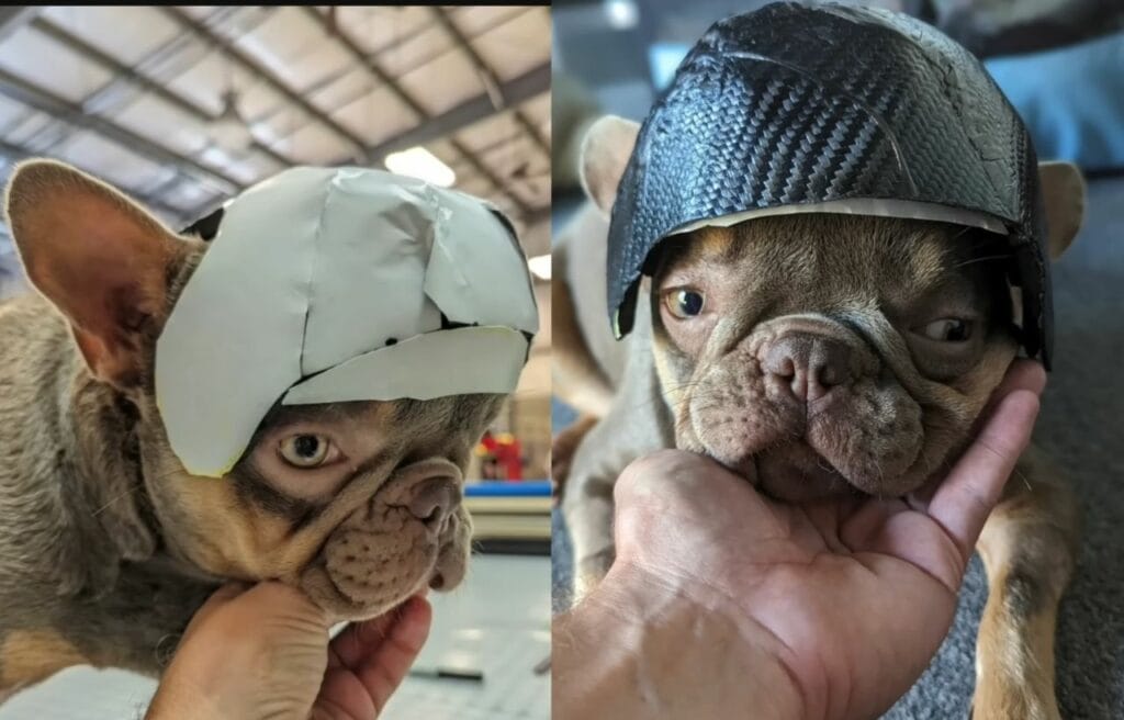 Mr. Muggles wearing the prototype helmet