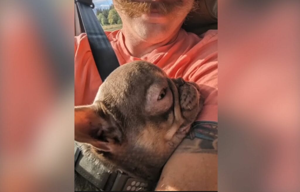 Mr. Muggles in the arms of Blake