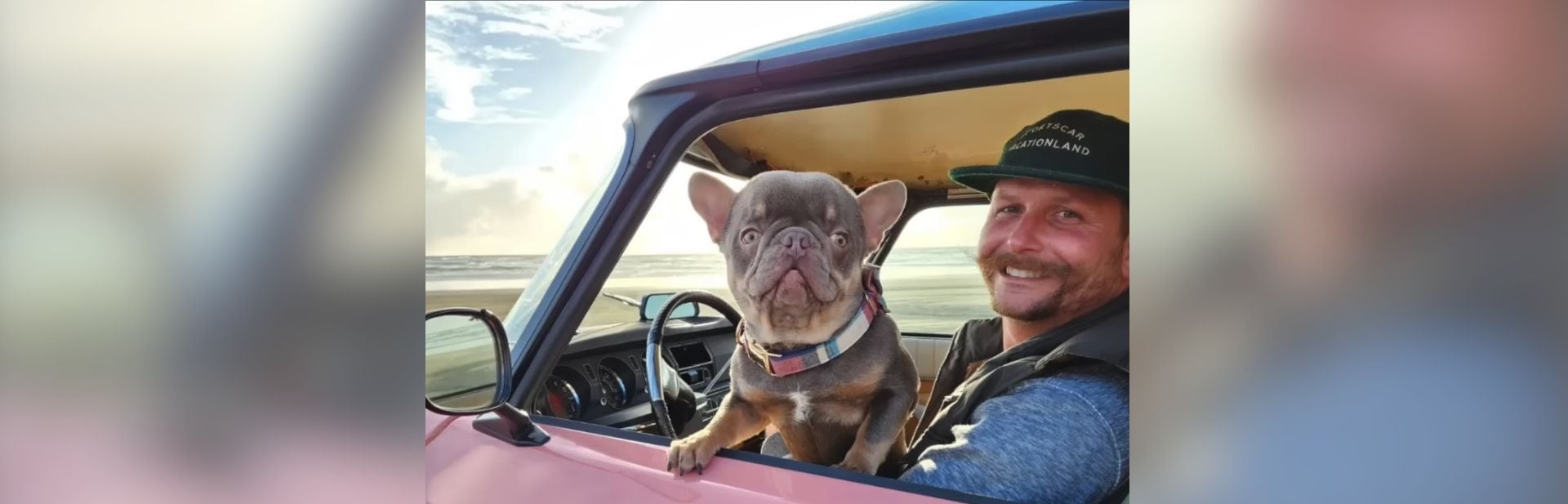 Dog Conquers His Condition with a Little Human Ingenuity featured image