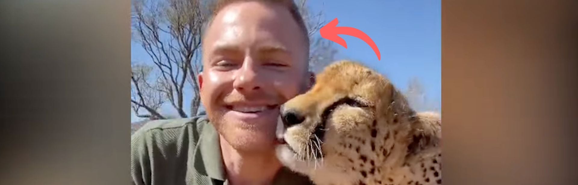 Abandoned One-Eyed Cheetah Finds Love and Friendship With Unlikely Hero featured image