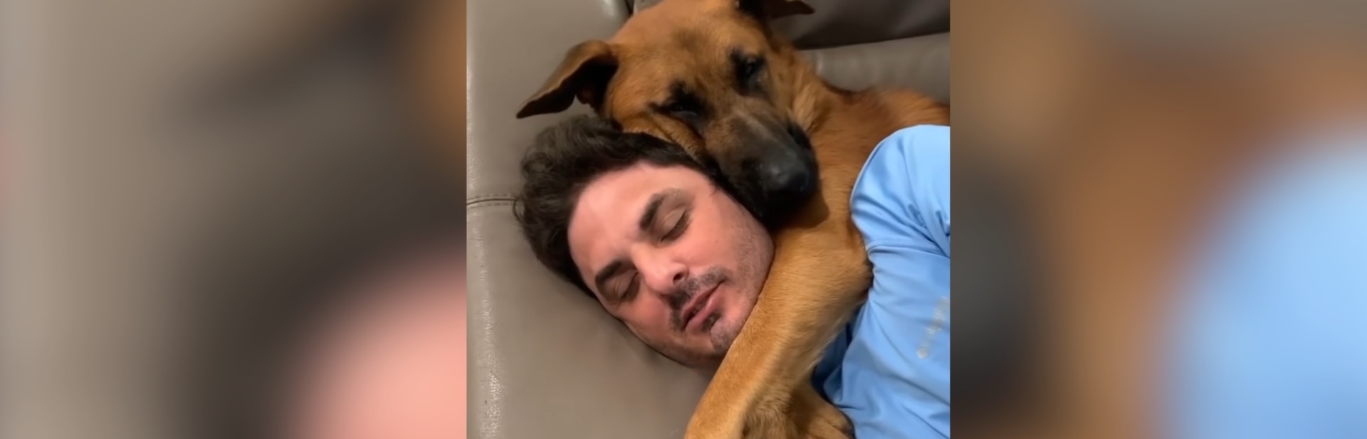 Unbelievable Transformation of Miami Stray Dog Will Warm Your Heart featured image