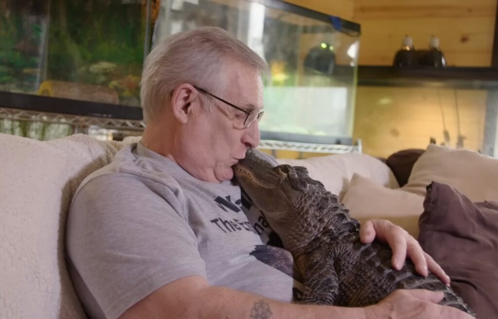 Joie kissing Wally the alligator