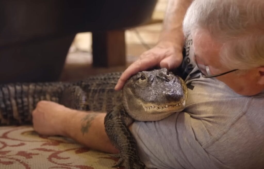 Joie holding Wally in his arms
