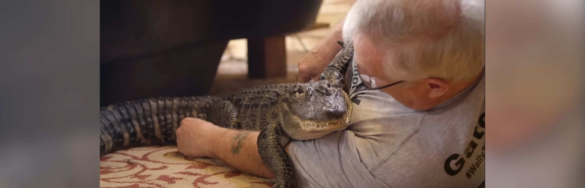 This Emotional Support Alligator is Turning Frowns Upside Down featured image