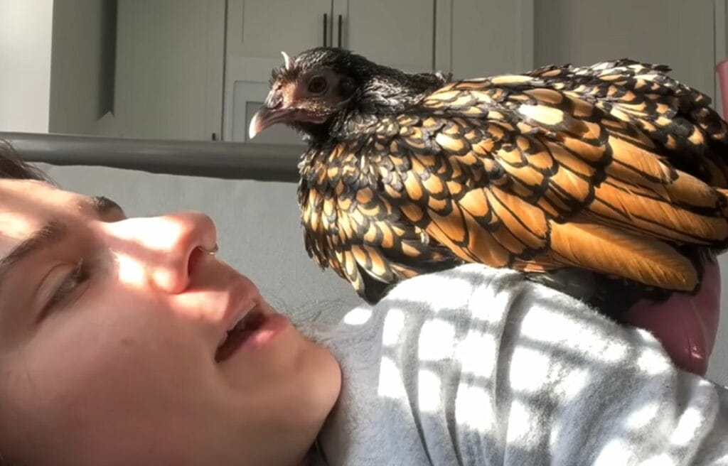 Ashley talking to Tina