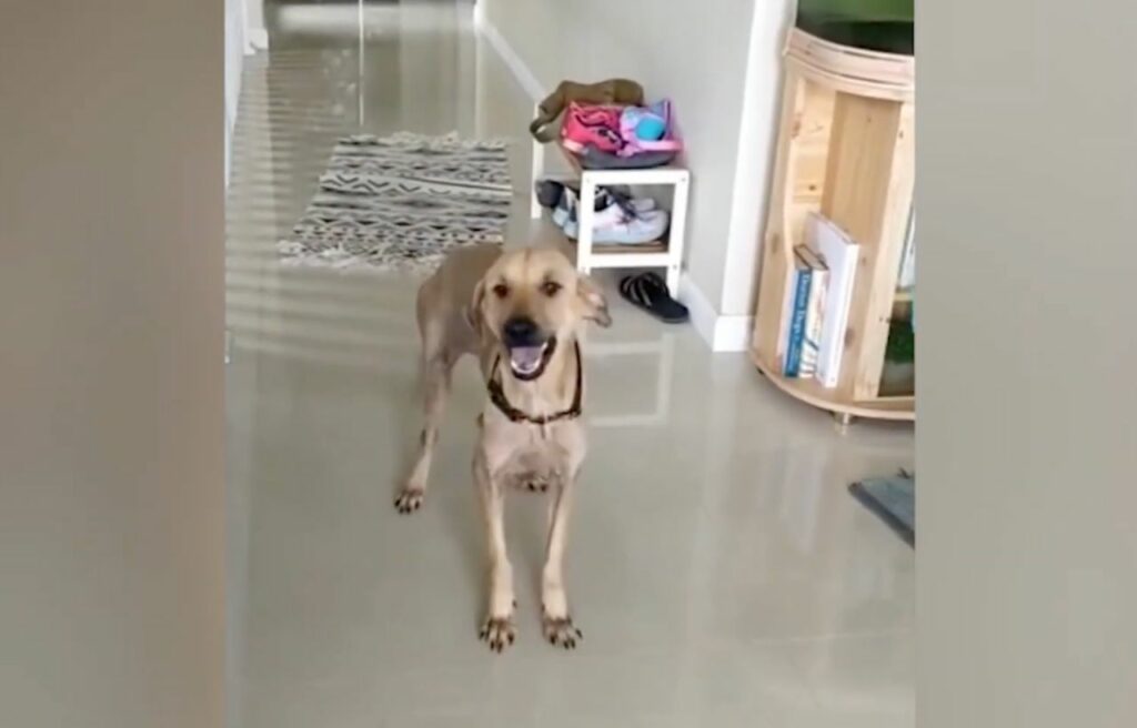 Winnie on her new home