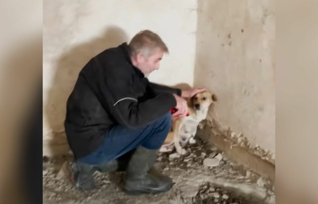 Soner Büyümez trying to calm Angel
