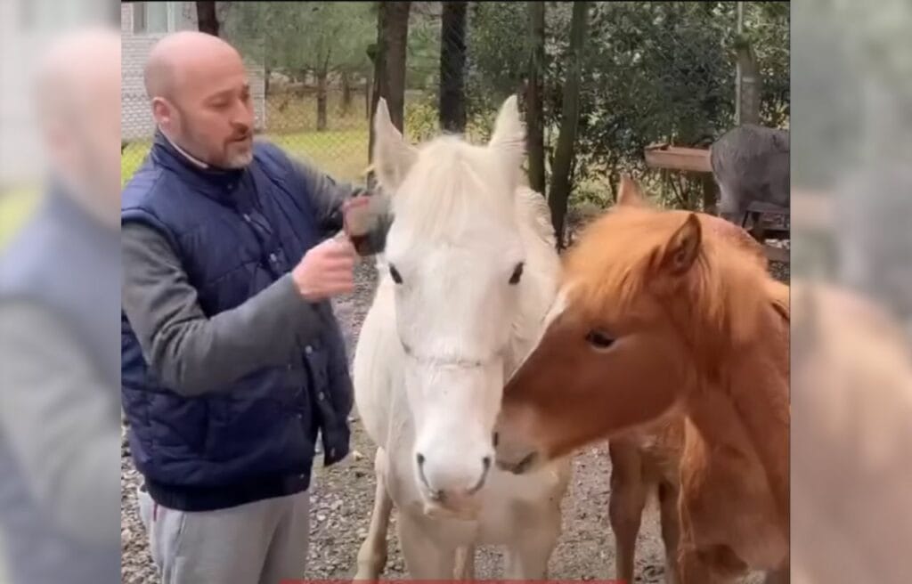 Max, Sir, and Destan