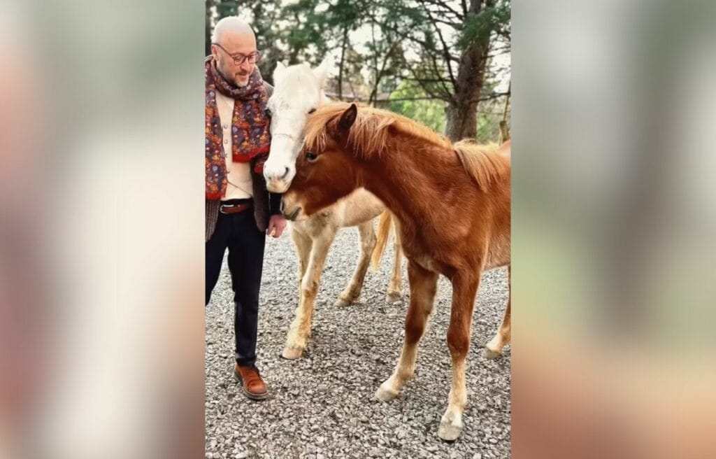 Max with Sir and Destan