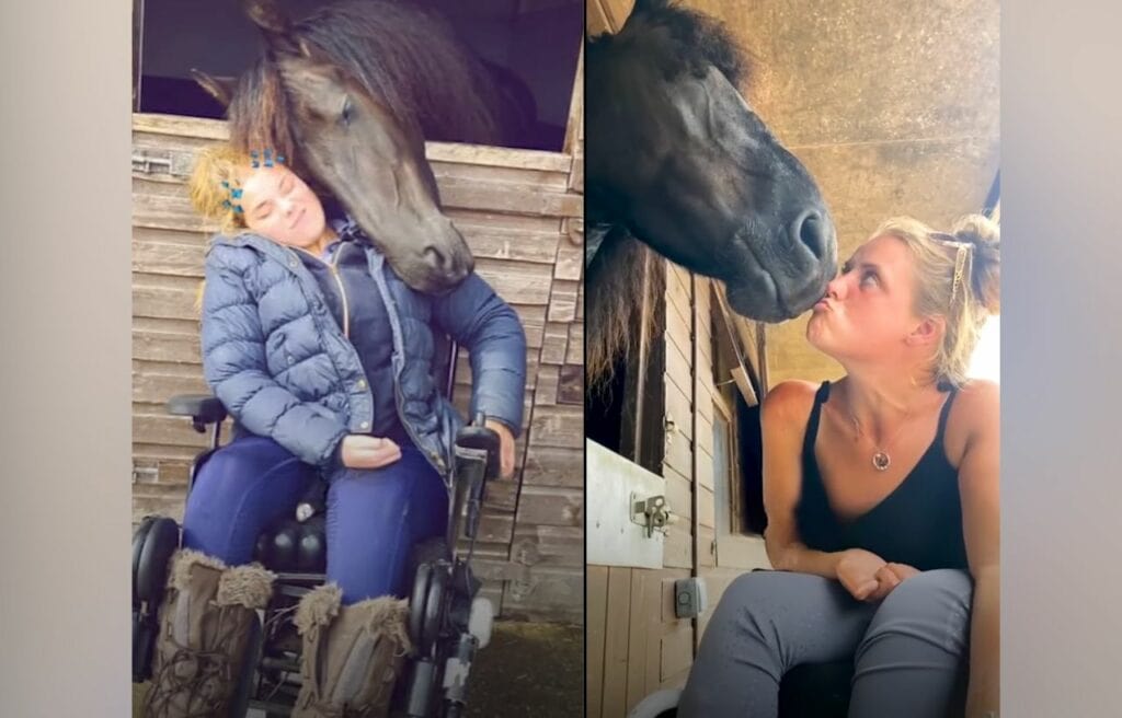 Faye and Majestic being sweet