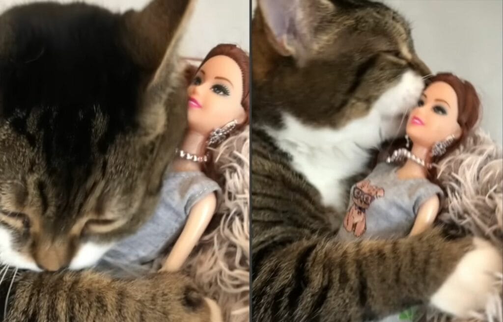 Poupee and her Barbie dolls