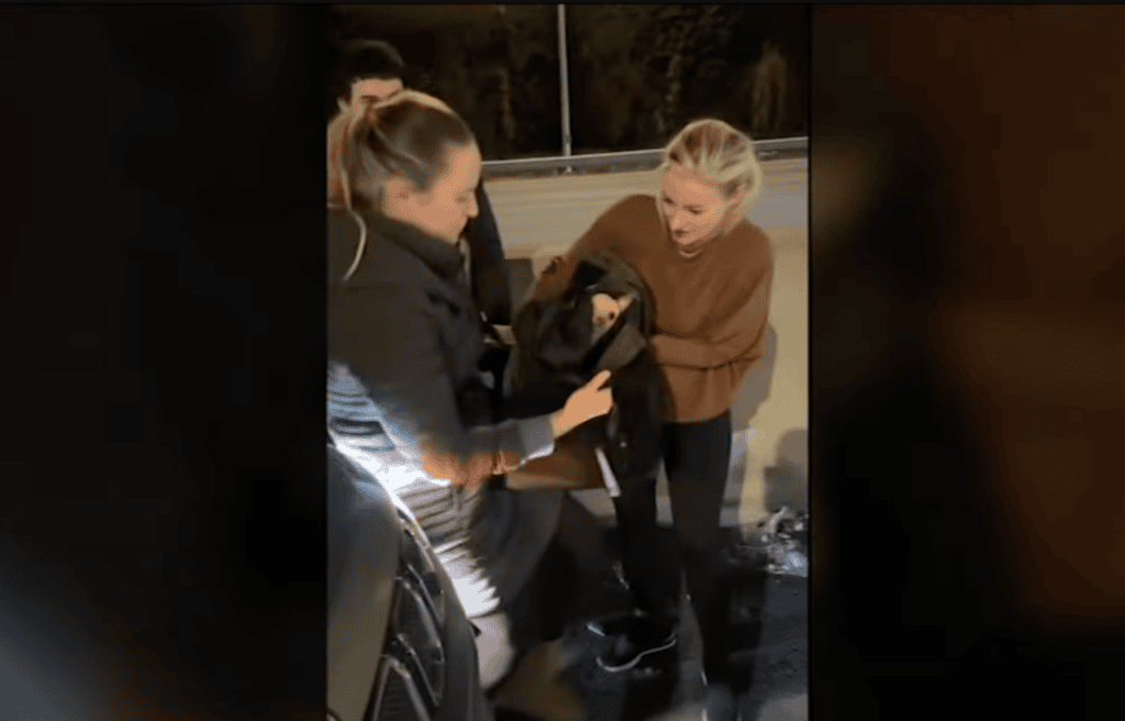 Bean wrapped in a jacket