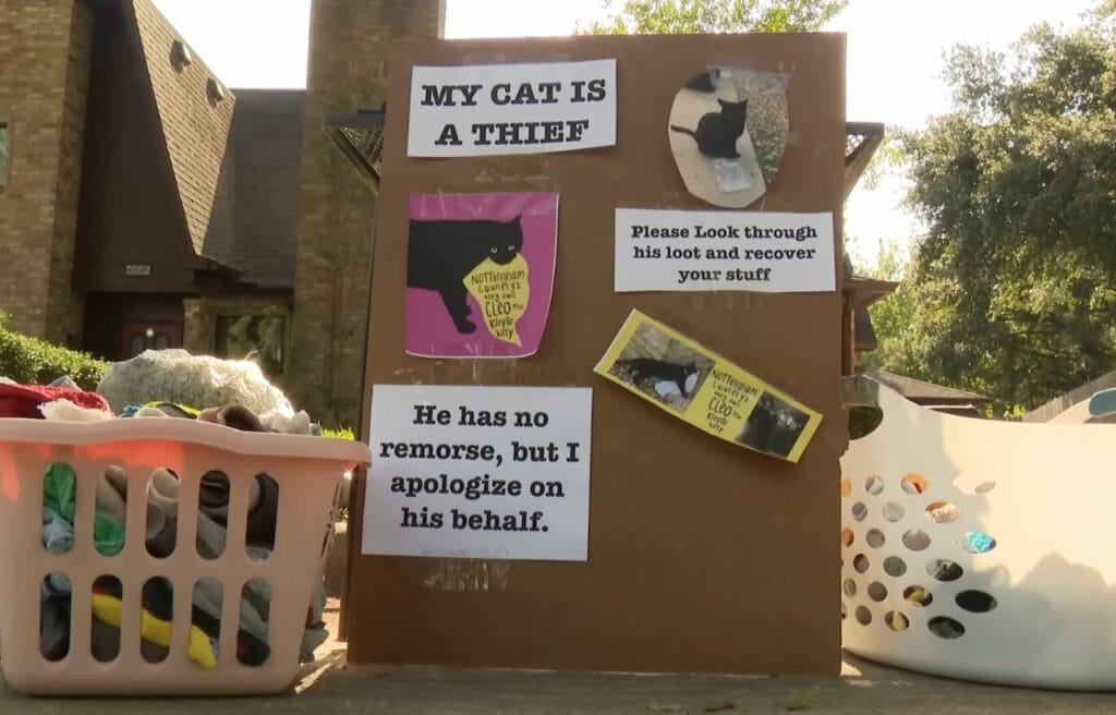 A poster with things that Cleo has stolen