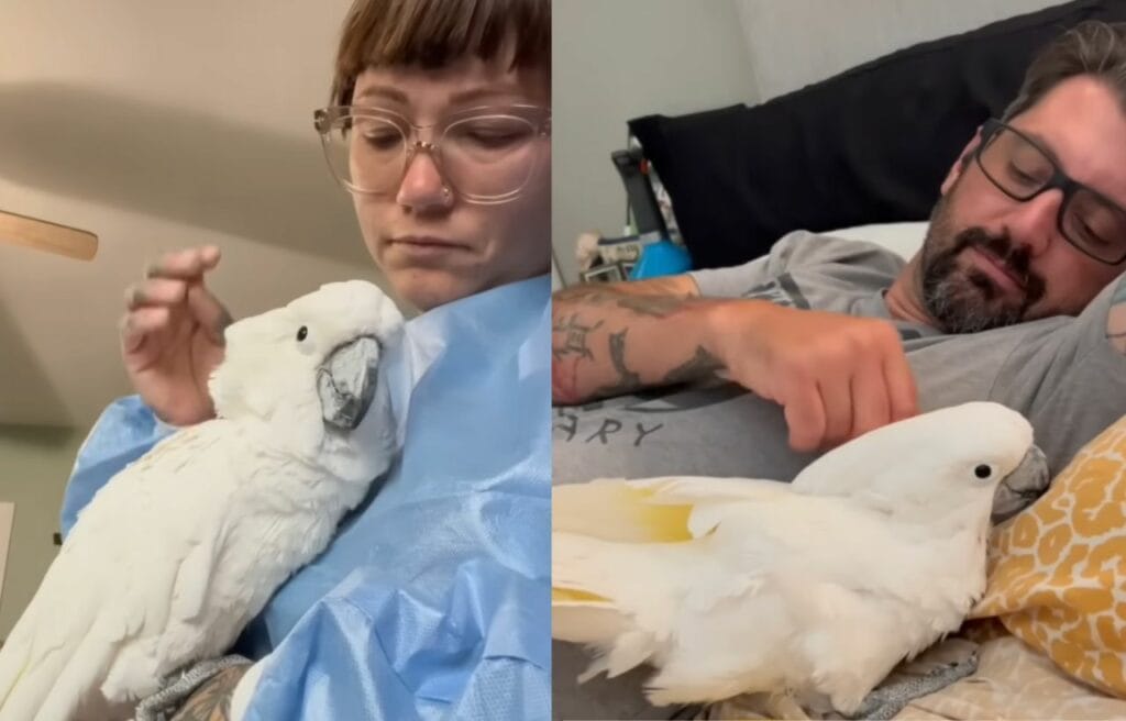 Side by side image of Fred with his new family