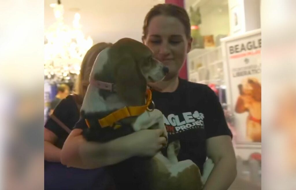 Echo carried by his foster mother