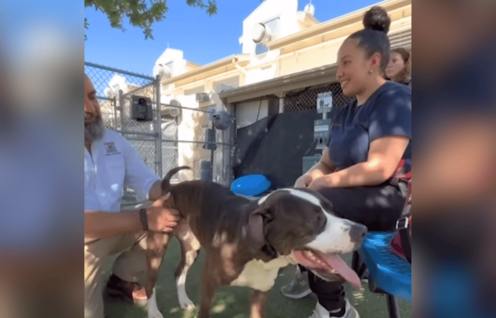 Nicholas met his fur mom