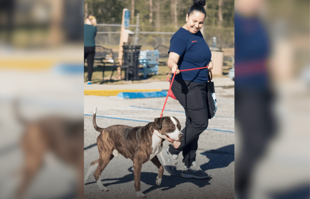 Nicholas gets adopted