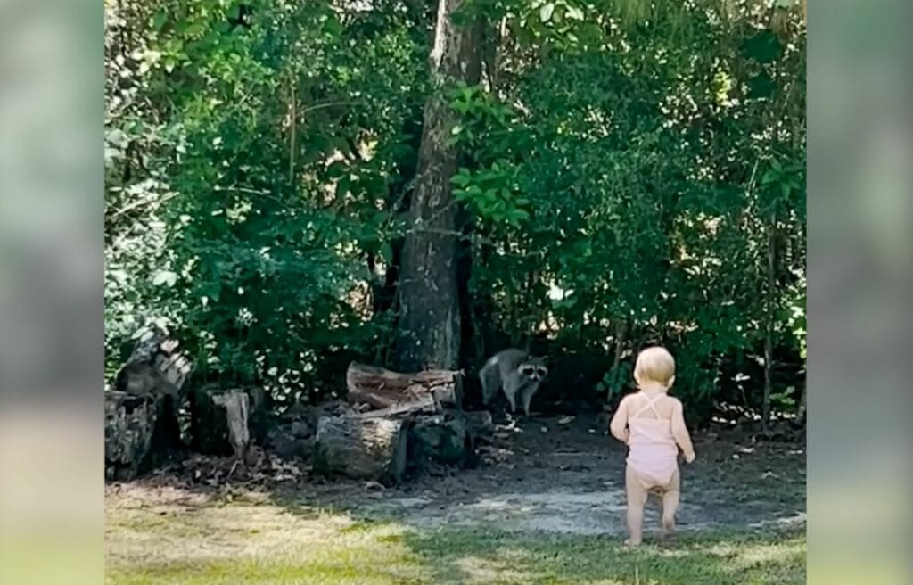 Roxy meeting Brittany's baby