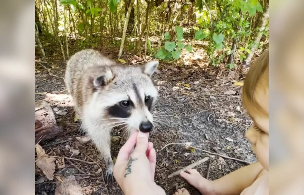Brittany and her baby feeding Roxy