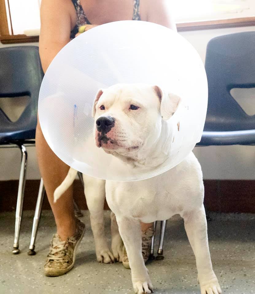 This image has an empty alt attribute; its file name is 70208390_2478872908834448_862088846425194496_n.jpg